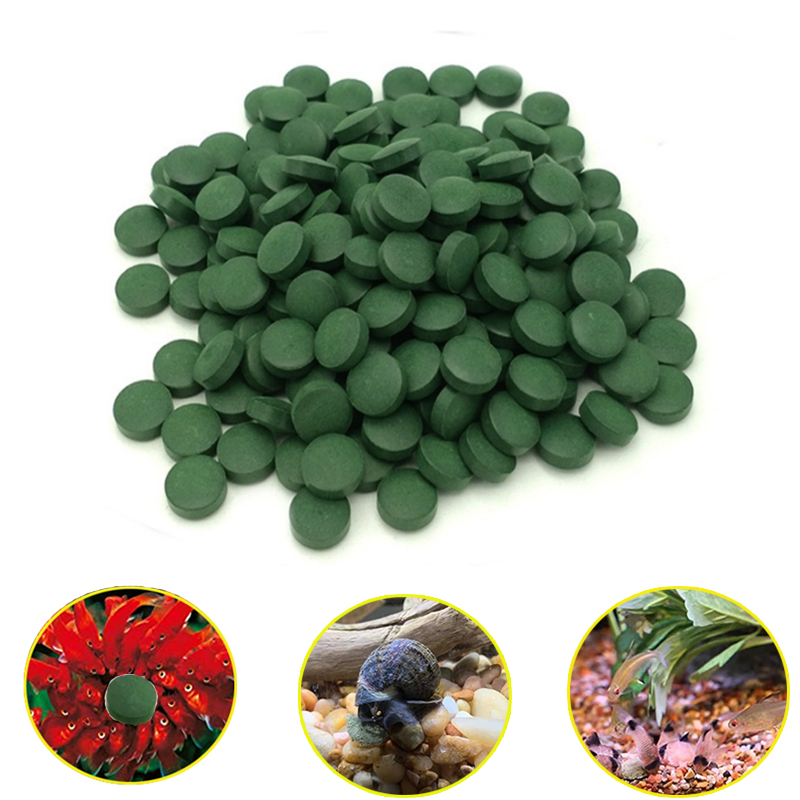 100pcs Spirulina Tablets Enrichment Favorite Pet Food fish crystal red shrimp pet food