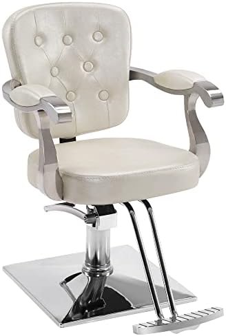 BarberPub Classic Hydraulic Steel Barber Chair Hair Spa Salon Styling Beauty Equipment 2069 (Champagne)
