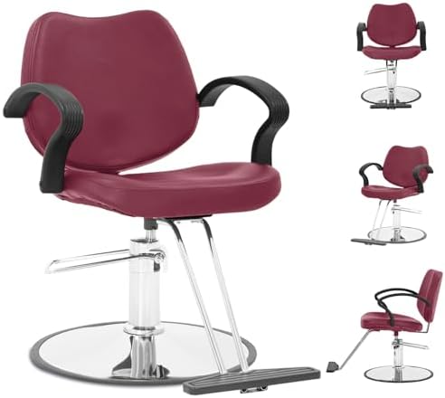 Barber Chair, Hair Salon Chair Styling Chair Heavy Duty Hydraulic Pump Hair Cutting Chair 360°Swivel Ergonomic Salon Chair Shampoo&Spa Beauty Equipment for Women Man Hair Stylist,Burgundy