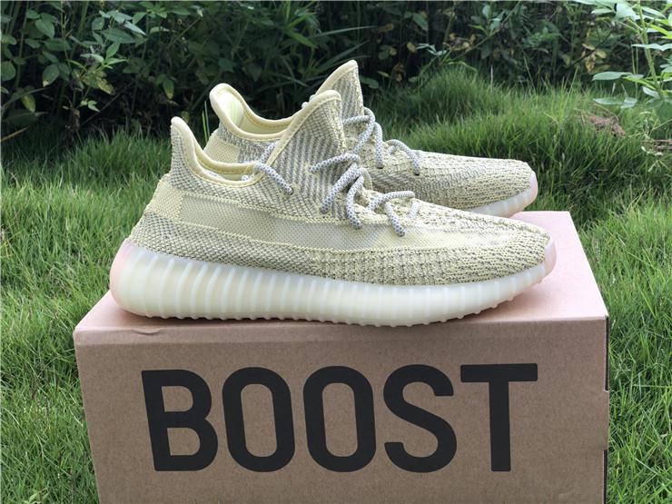 2019 Adidas Yeezy Boost 350 V2 Antlia Reflective (AYZN005)